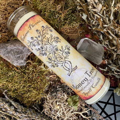 7 Day Candle -  Money Tree by Madame Phoenix