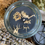 New Moon Spell Candle by Madame Phoenix