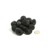 Nuummite (Multiple Options)