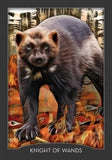 Guardian of the Night Tarot USED