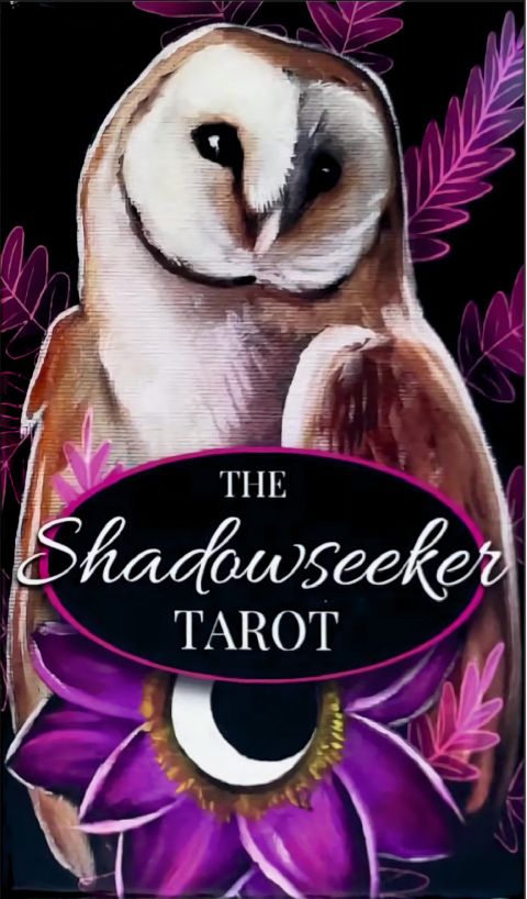 The Shadowseeker Tarot USED