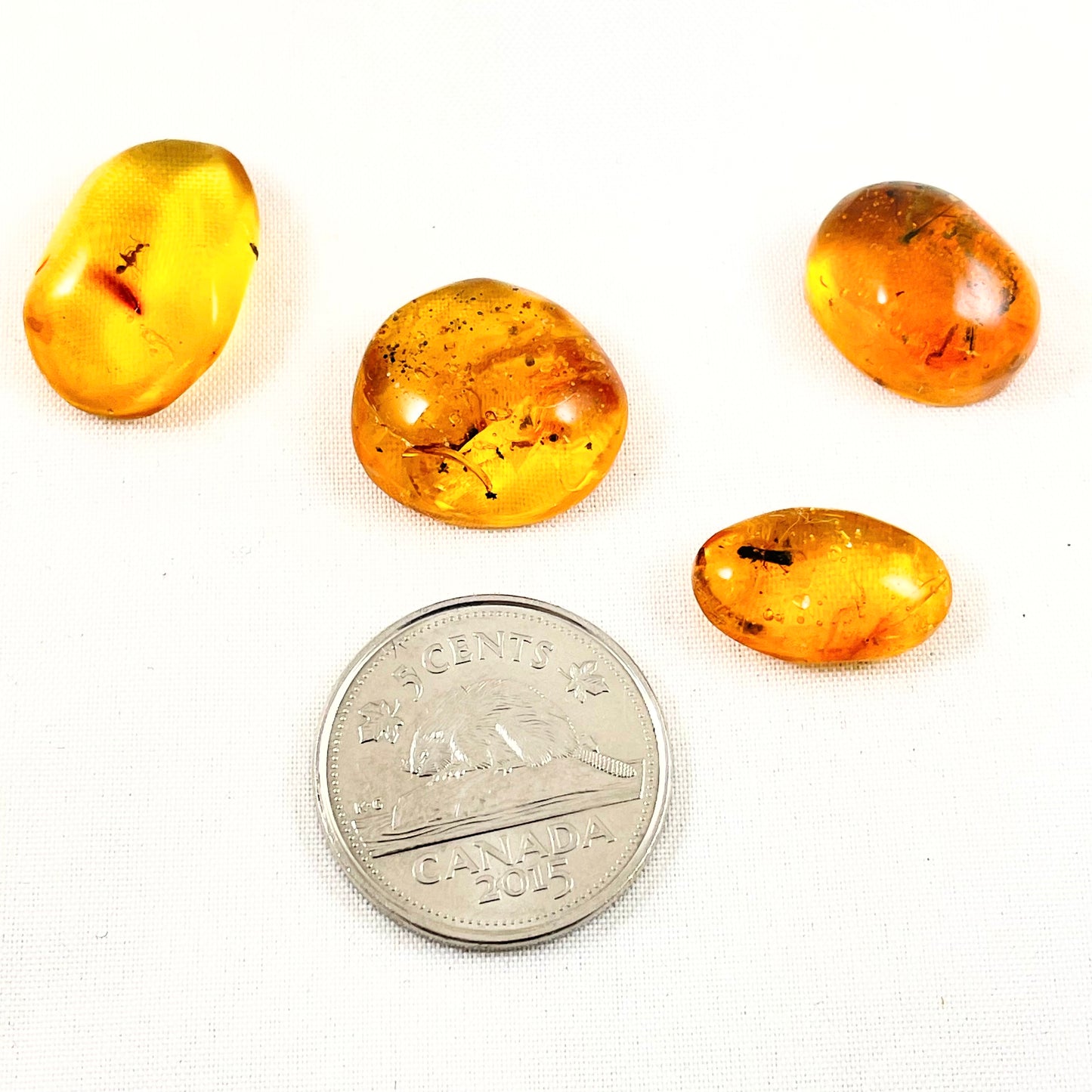Amber (Multiple Options)