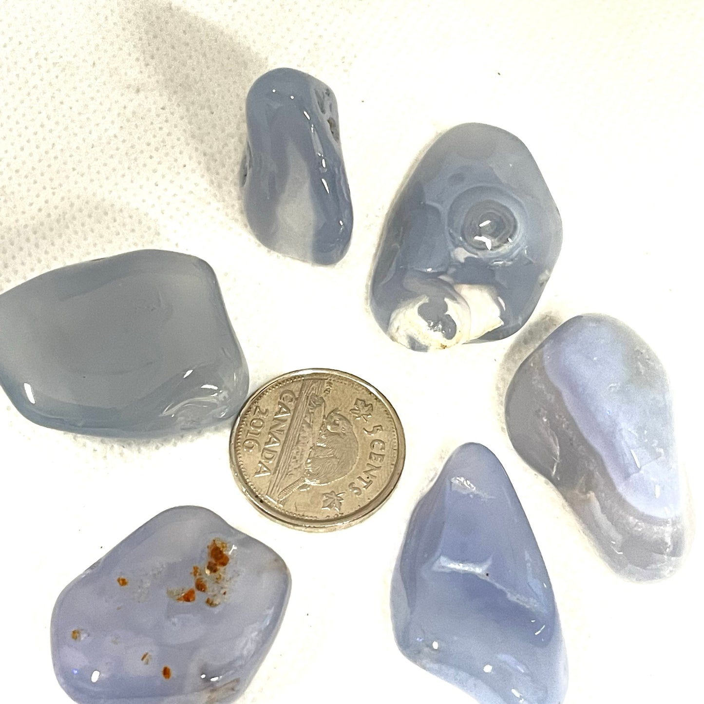 Blue Lace Agate (Multiple Options)