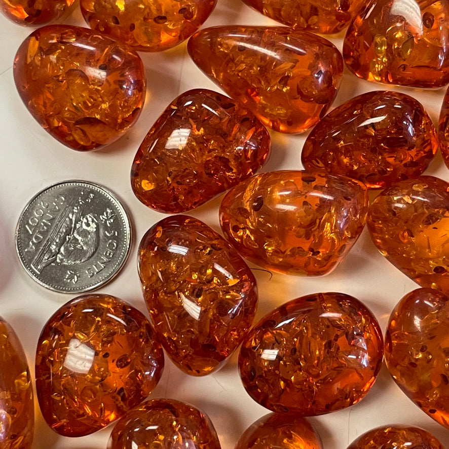 Amber (Multiple Options)