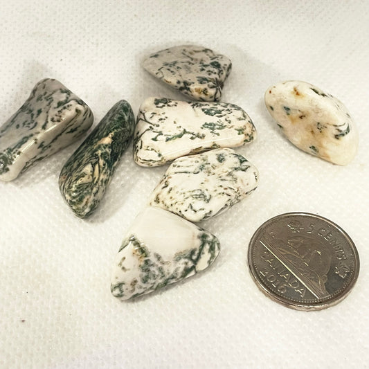Tree Agate