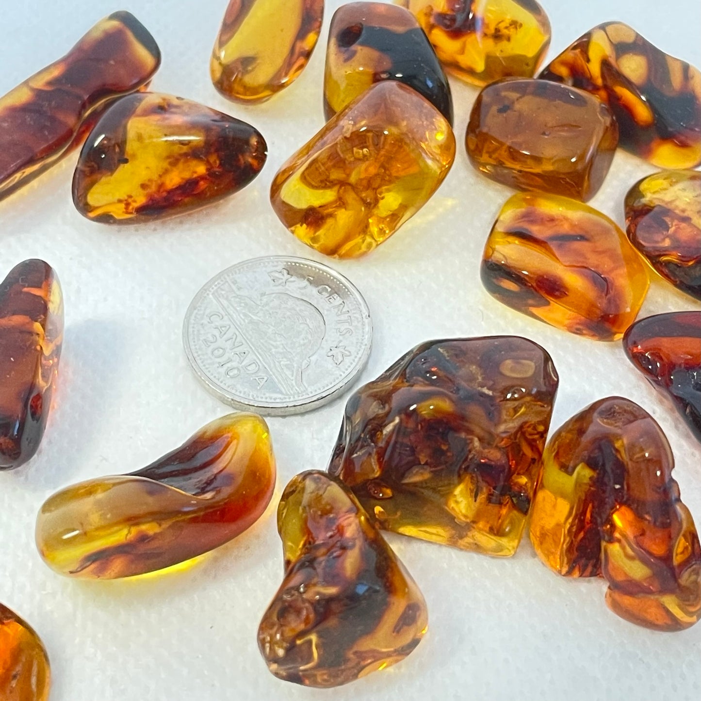 Amber (Multiple Options)