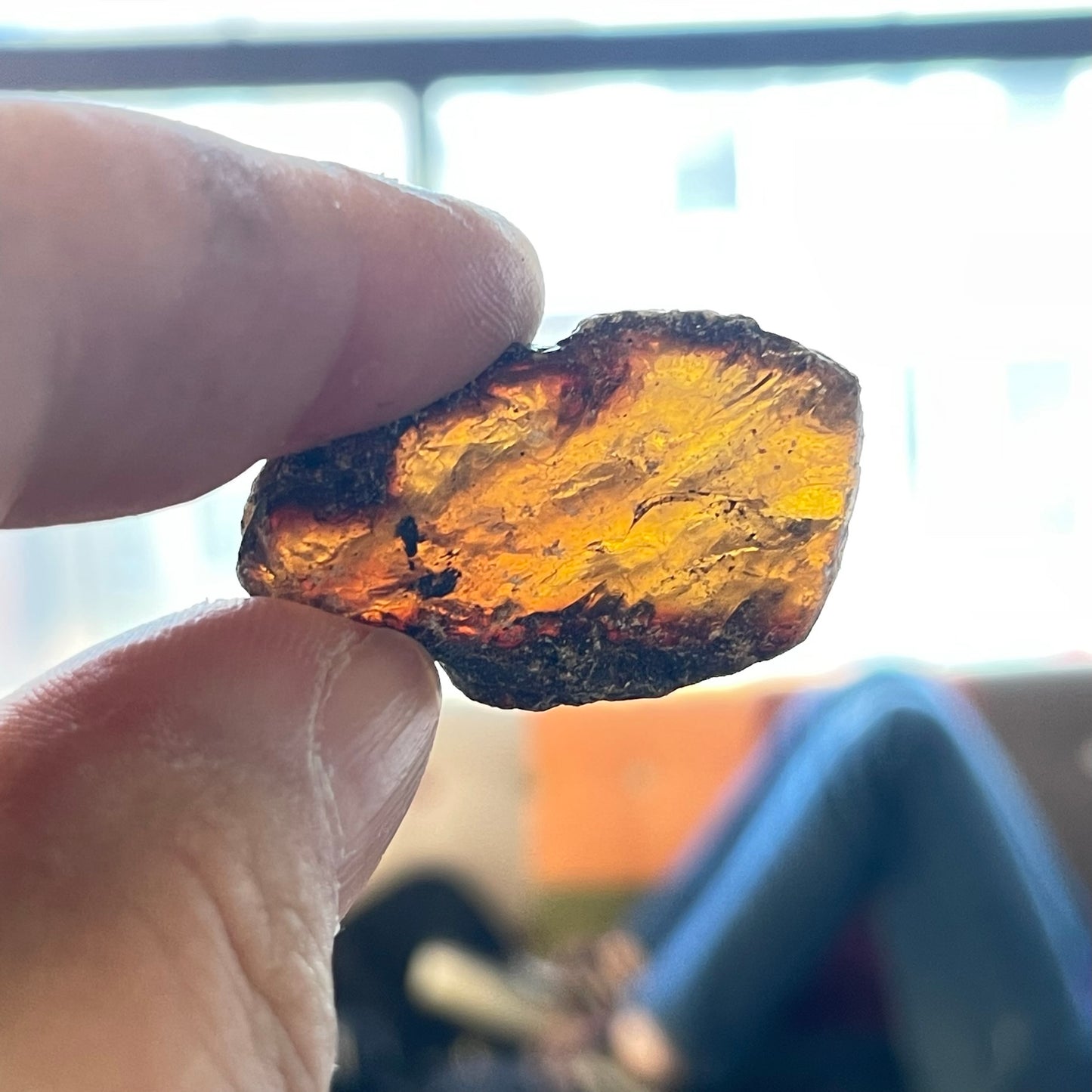 Amber (Multiple Options)