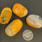 Bumble Bee Jasper (Multiple Options)