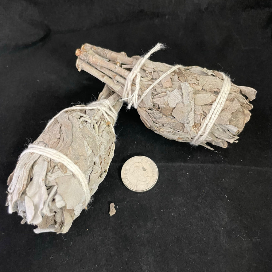 Kheops/Quanta White Sage Herb Bundles (Multiple Options)