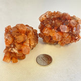 Aragonite Star Cluster (Multiple Options)