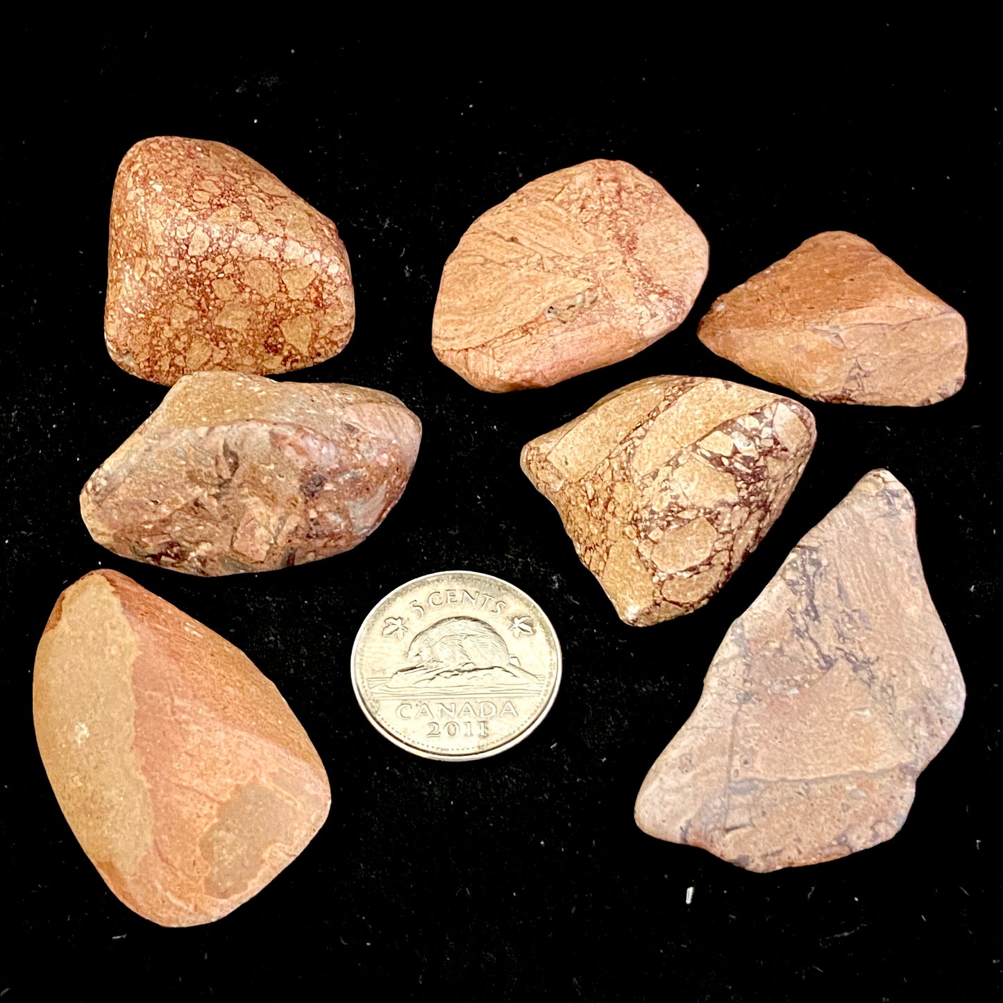 Picture Jasper (Multiple Options)