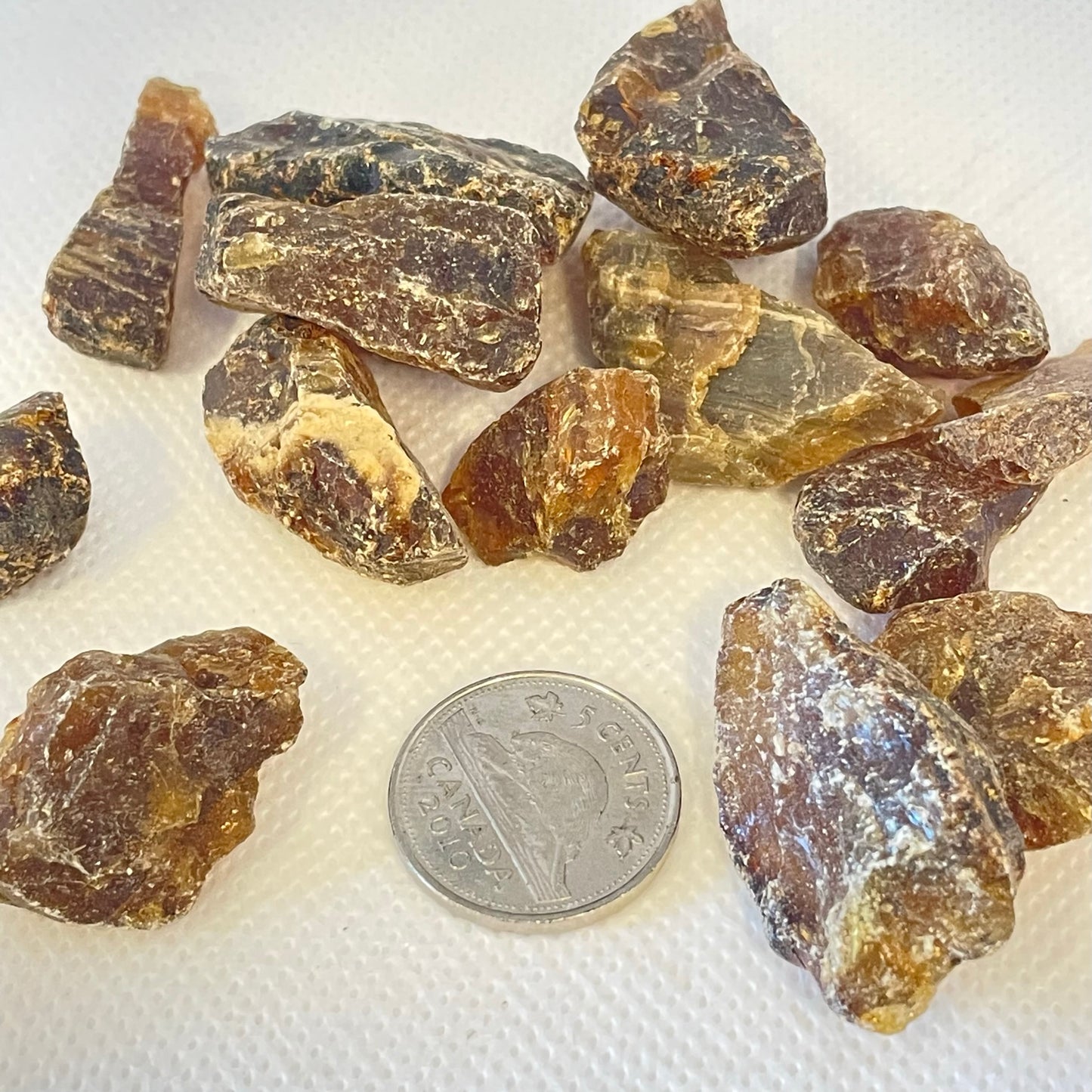 Amber (Multiple Options)