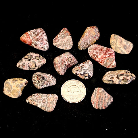 African Leopard Stone