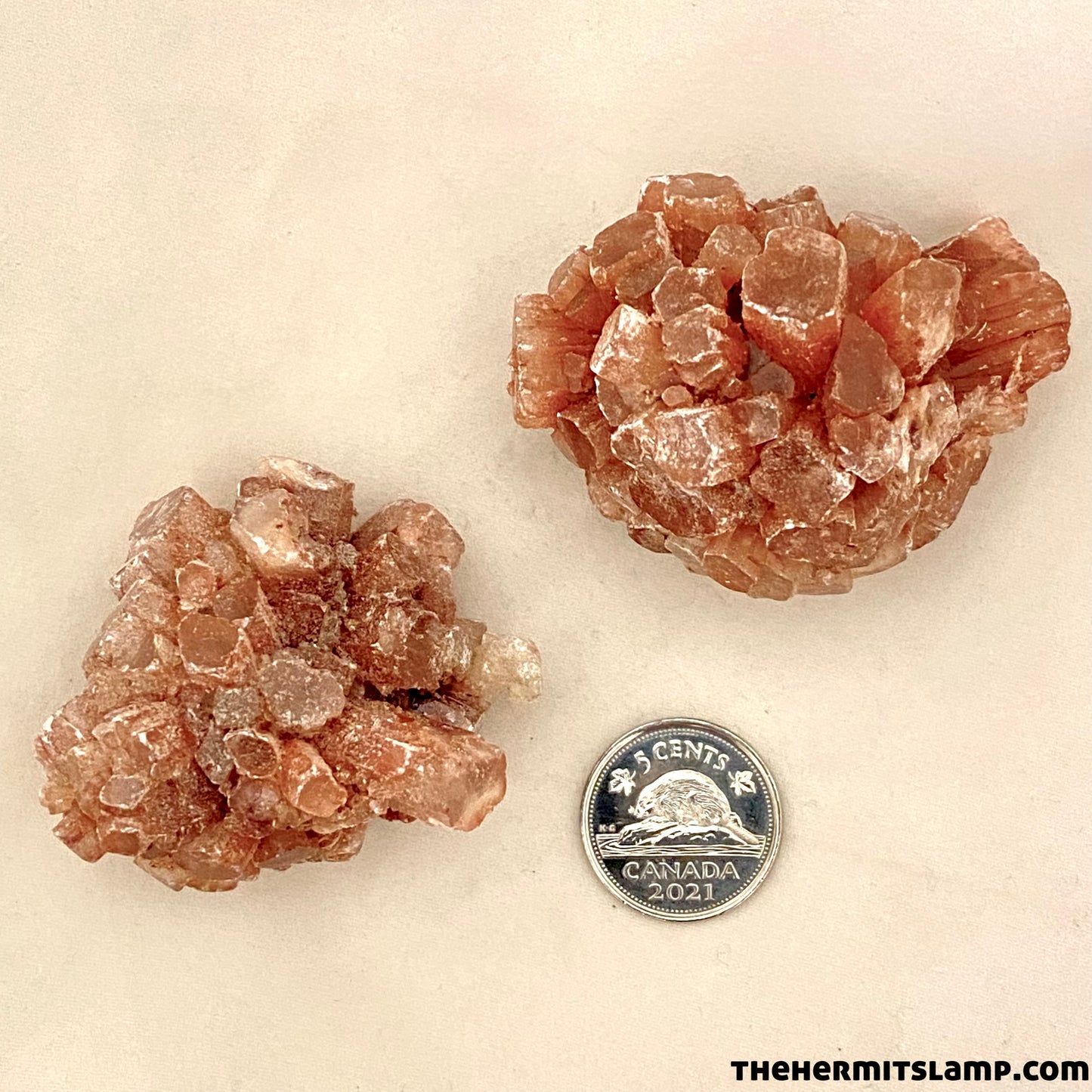 Aragonite Star Cluster (Multiple Options)