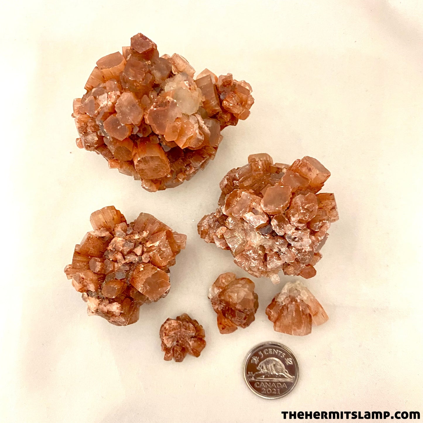 Aragonite Star Cluster (Multiple Options)