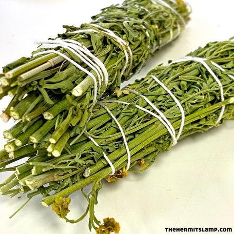 Rue (Ruda) Herb Bundle