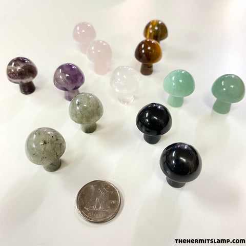 Mini Mushrooms (Multiple Options)