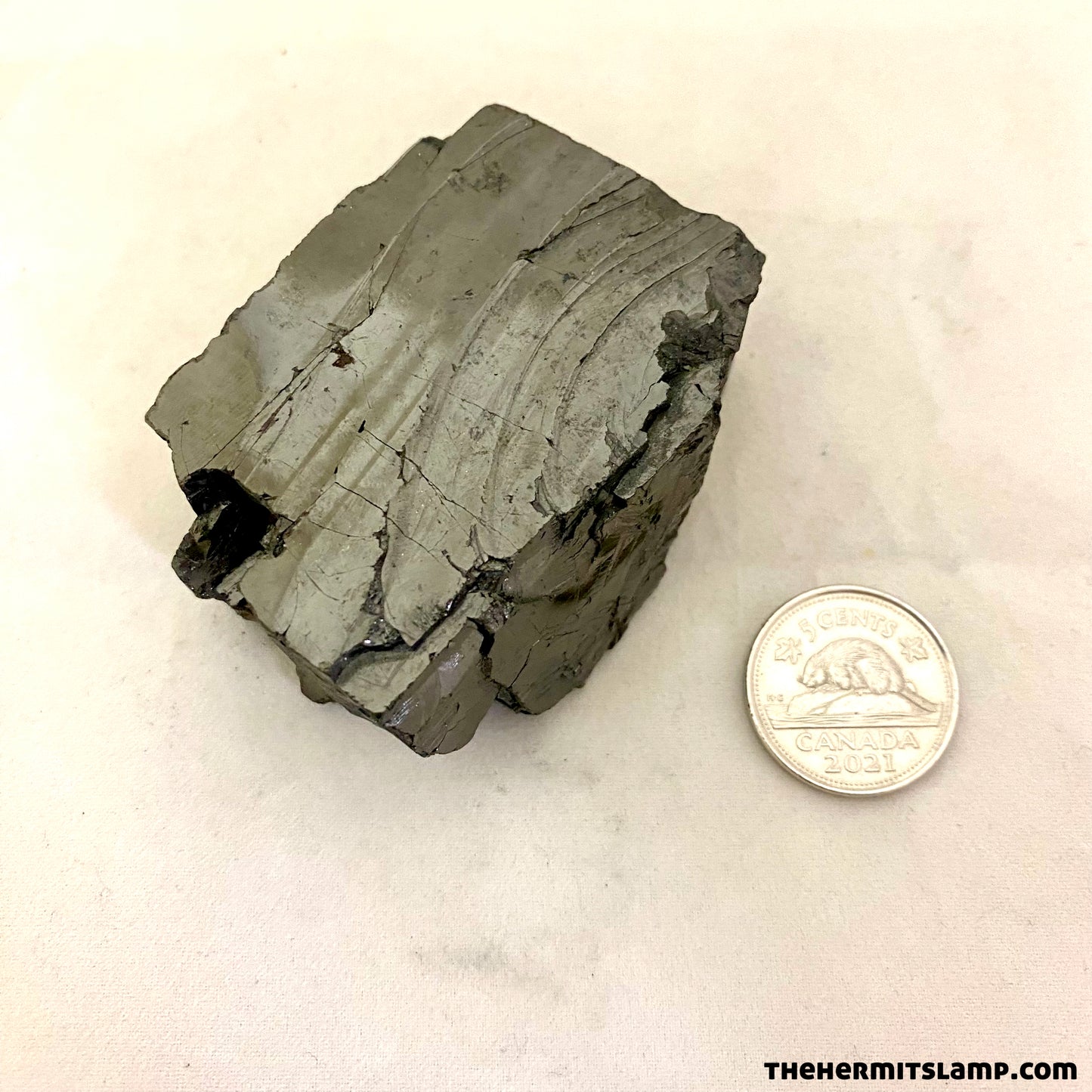 Elite Shungite (Multiple Options)