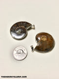 Ammonite Fossil Pendant