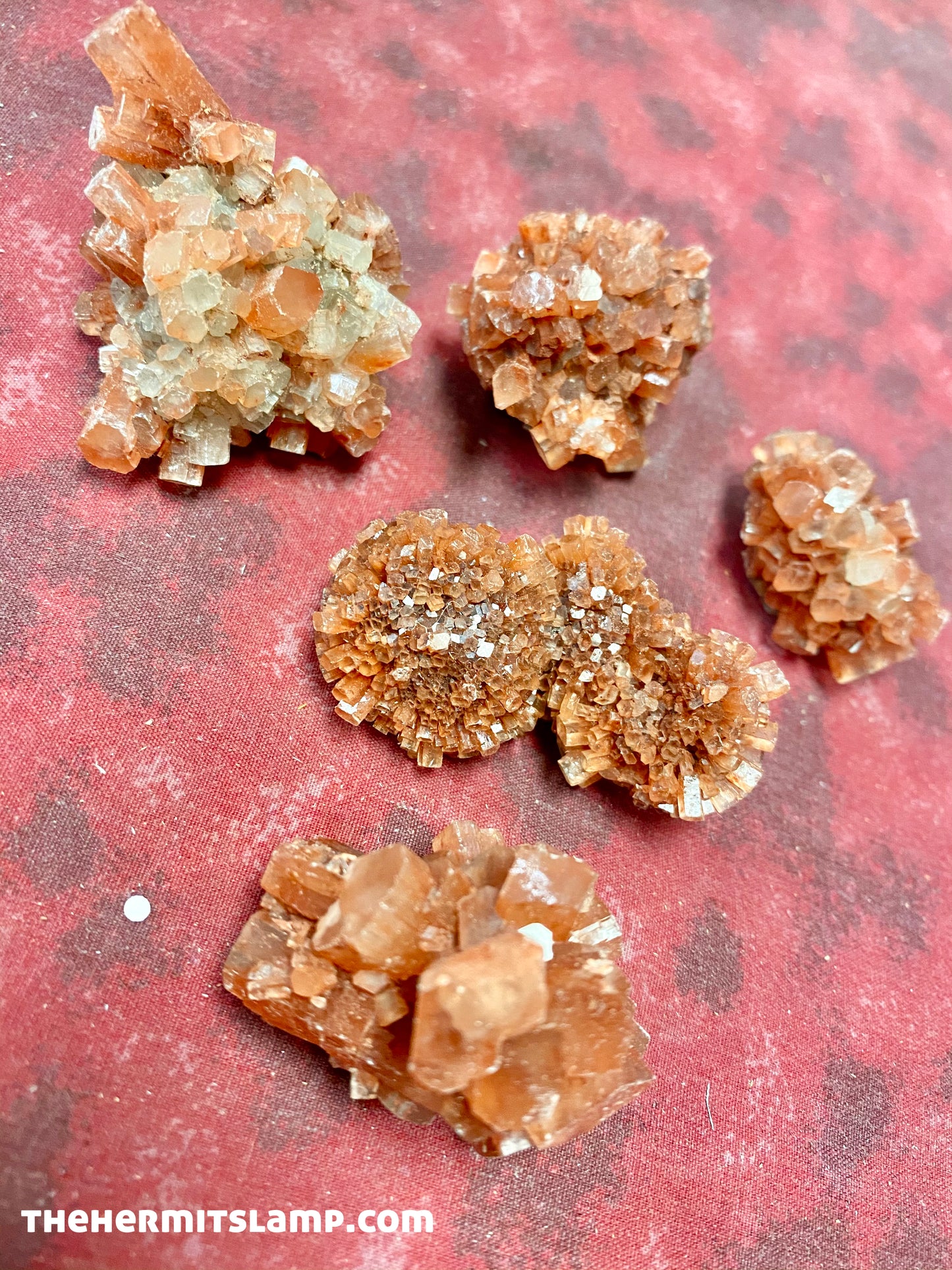Aragonite Star Cluster (Multiple Options)