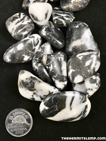 Zebra Jasper