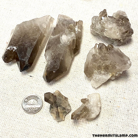 Smoky Quartz Raw Clusters (Multiple Options)