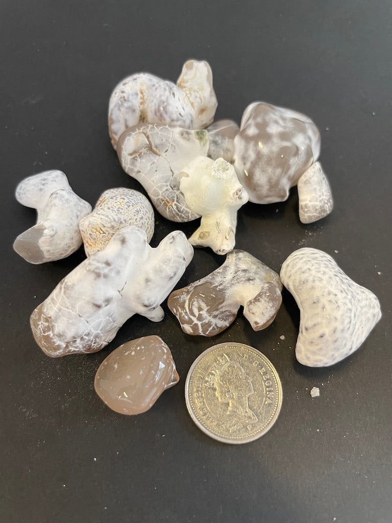 Snakeskin Agate (Multiple Options)