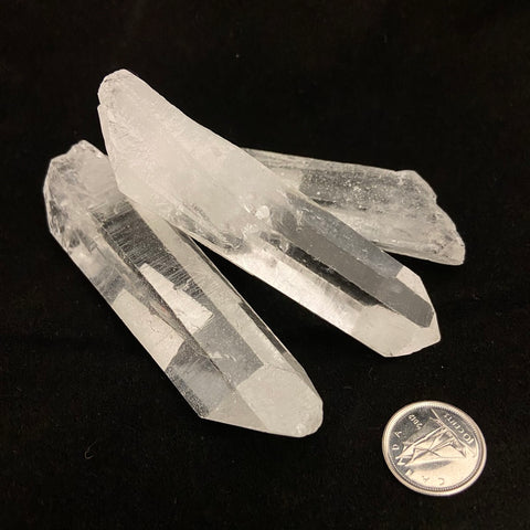 High Grade Mongolian Lemurian Seed Points