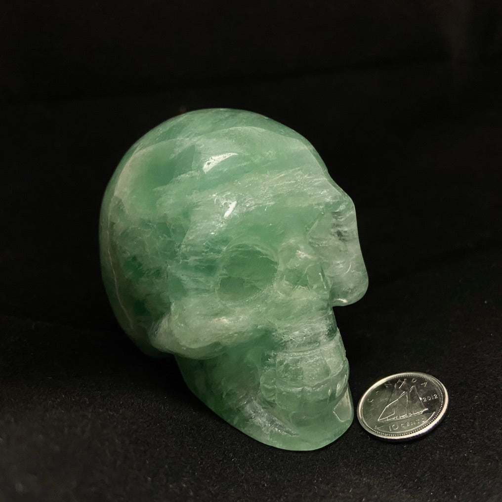 Large Fluorite Skull (Multiple Options)
