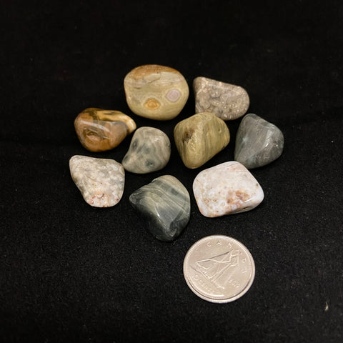 Ocean Jasper