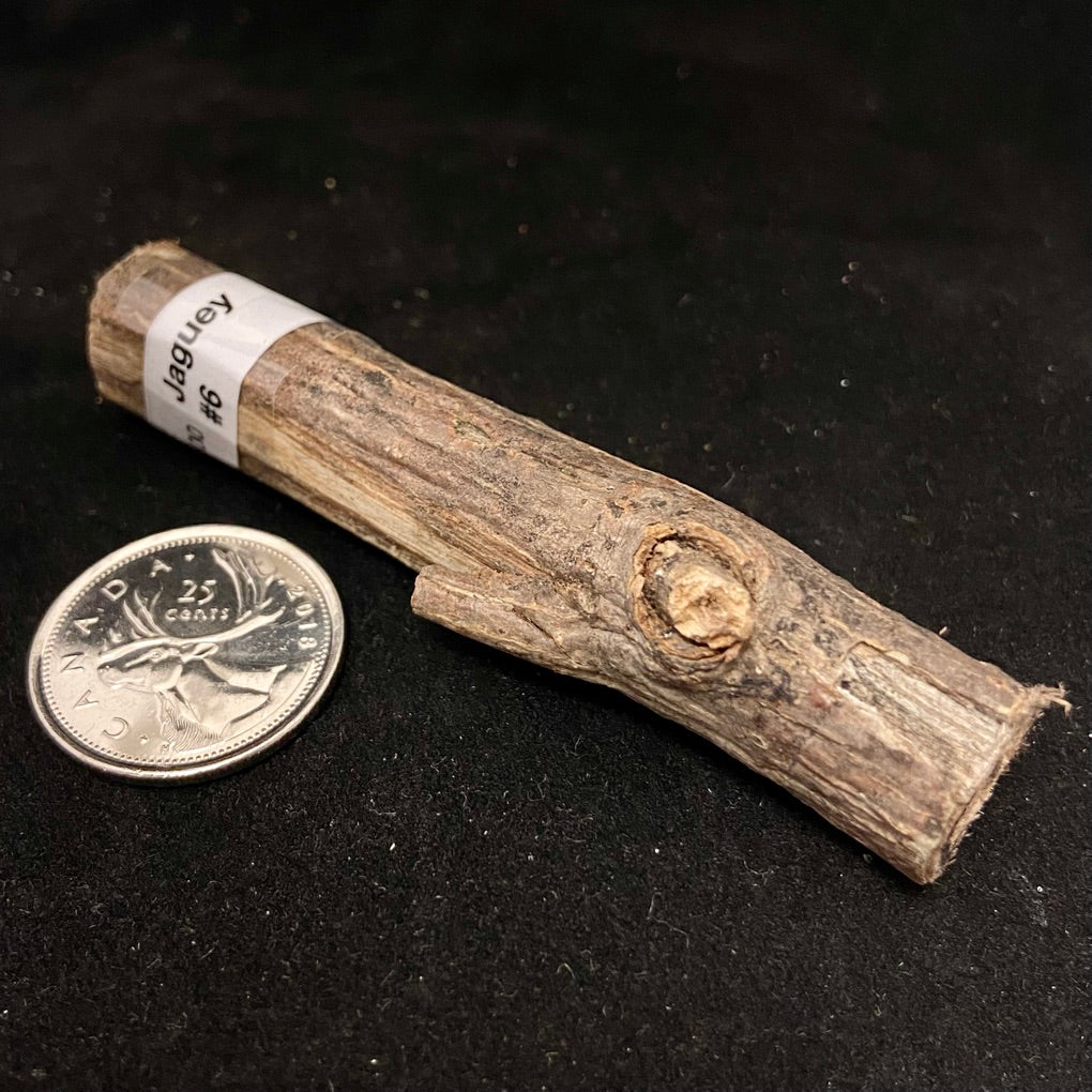 Palos (Sacred Tree Pieces)