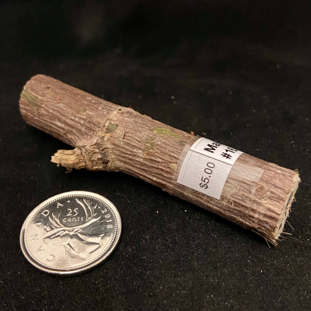 Palos (Sacred Tree Pieces)