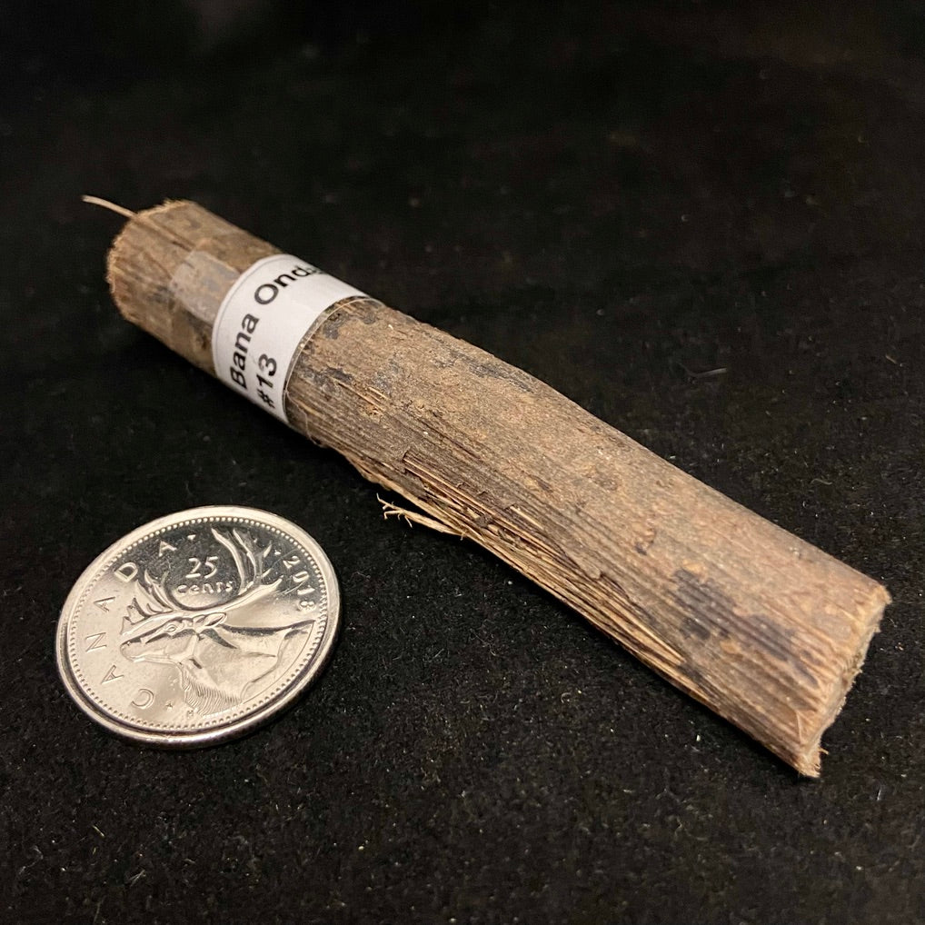 Palos (Sacred Tree Pieces)