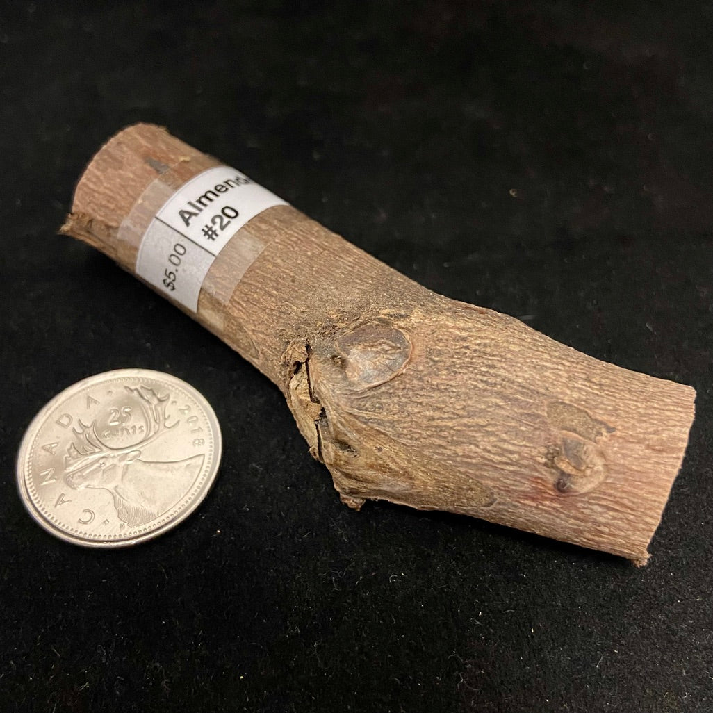 Palos (Sacred Tree Pieces)