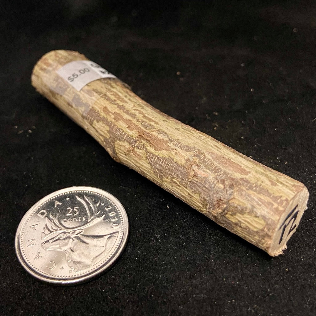 Palos (Sacred Tree Pieces)