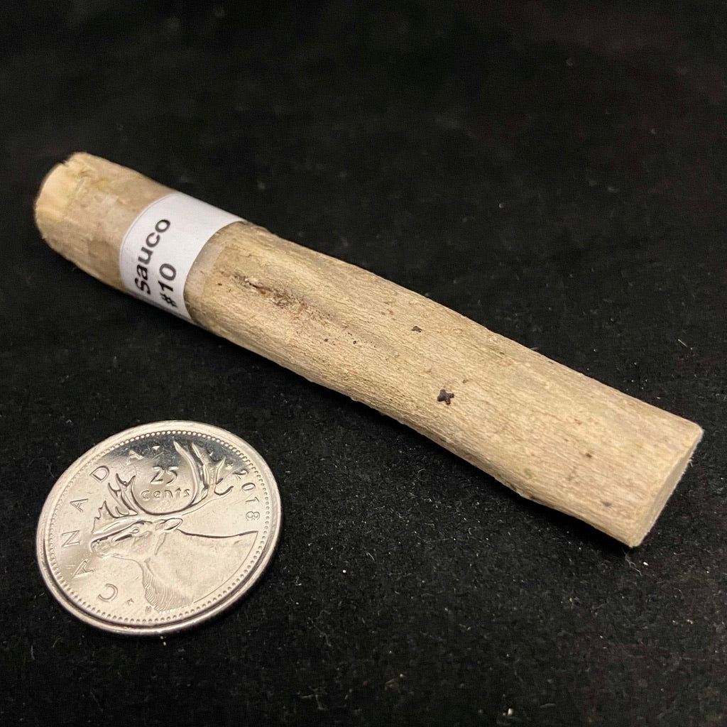 Palos (Sacred Tree Pieces)