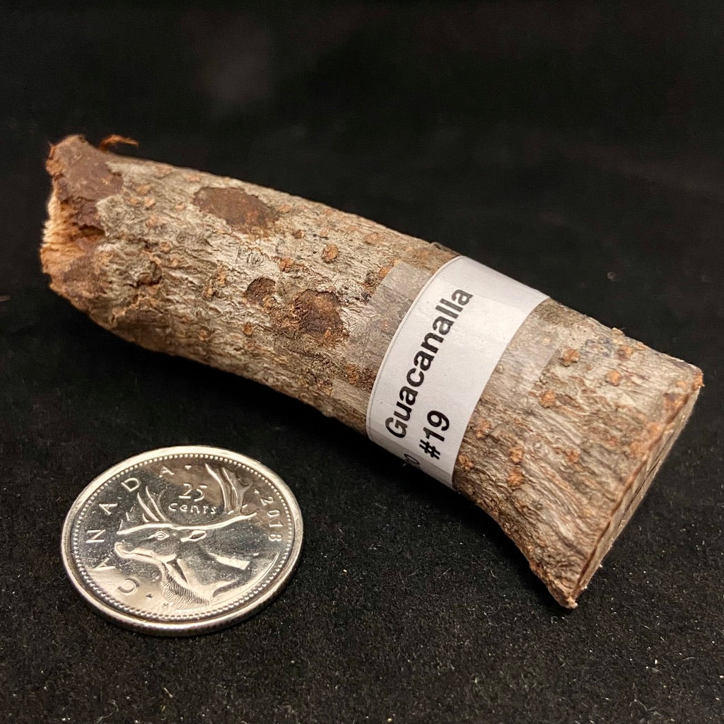 Palos (Sacred Tree Pieces)