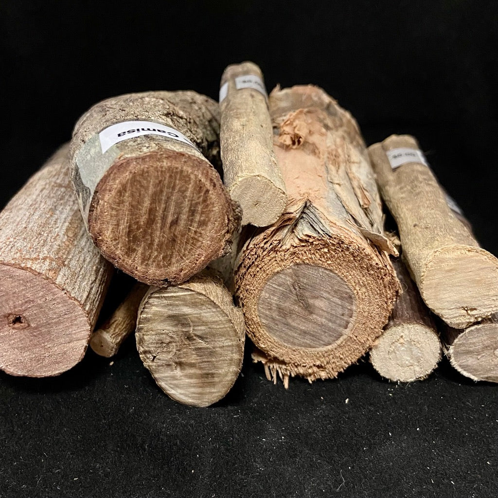 Palos (Sacred Tree Pieces)
