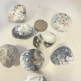 Merlinite Dendritic Opal (Multiple Options)