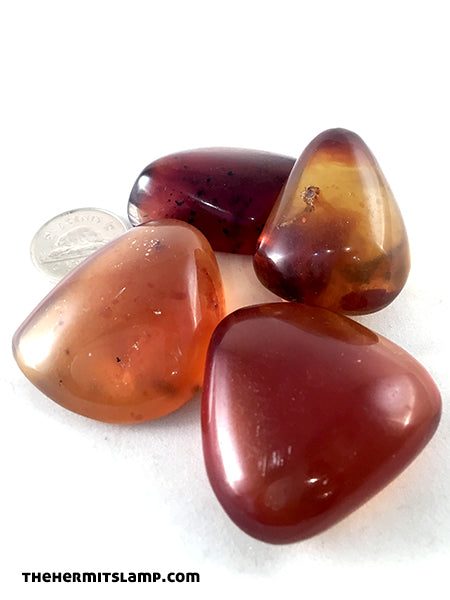 Amber (Multiple Options)
