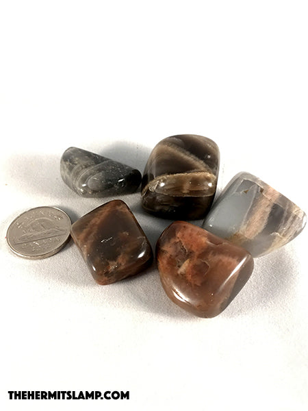 Black Moonstone (Multiple Options)