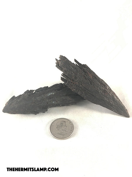 Black Kyanite (Multiple Options)