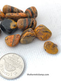 Bumble Bee Jasper (Multiple Options)