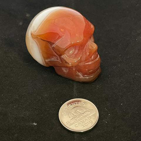 Carnelian Skull