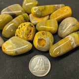 Bumble Bee Jasper (Multiple Options)