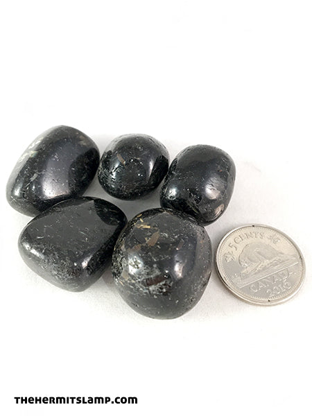 Nuummite (Multiple Options)