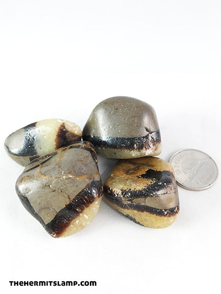 Septarian (Multiple Options)