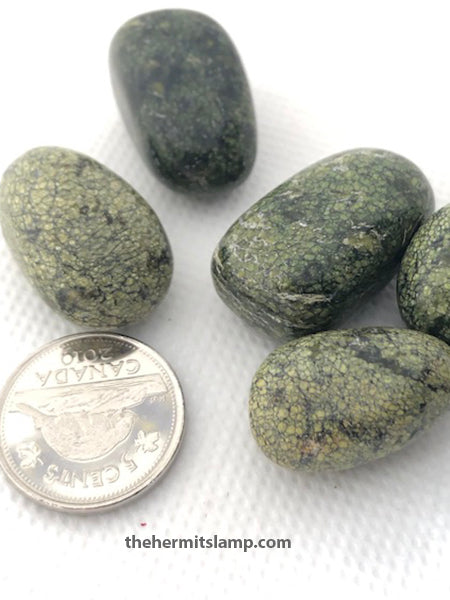 Spiderweb Jasper (Multiple Options)
