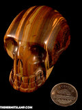 Tiger's Eye Skull (Multiple Options)