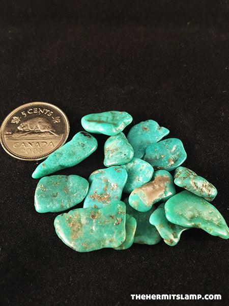 Turquoise (Multiple Options)
